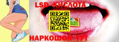 2c-b Кингисепп
