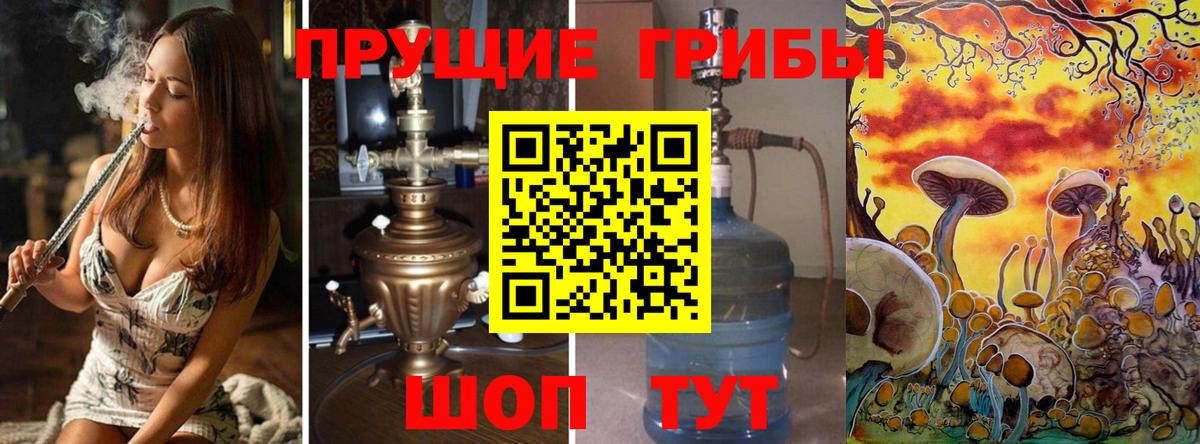 Галлюциногенные грибы Psilocybe Котовск