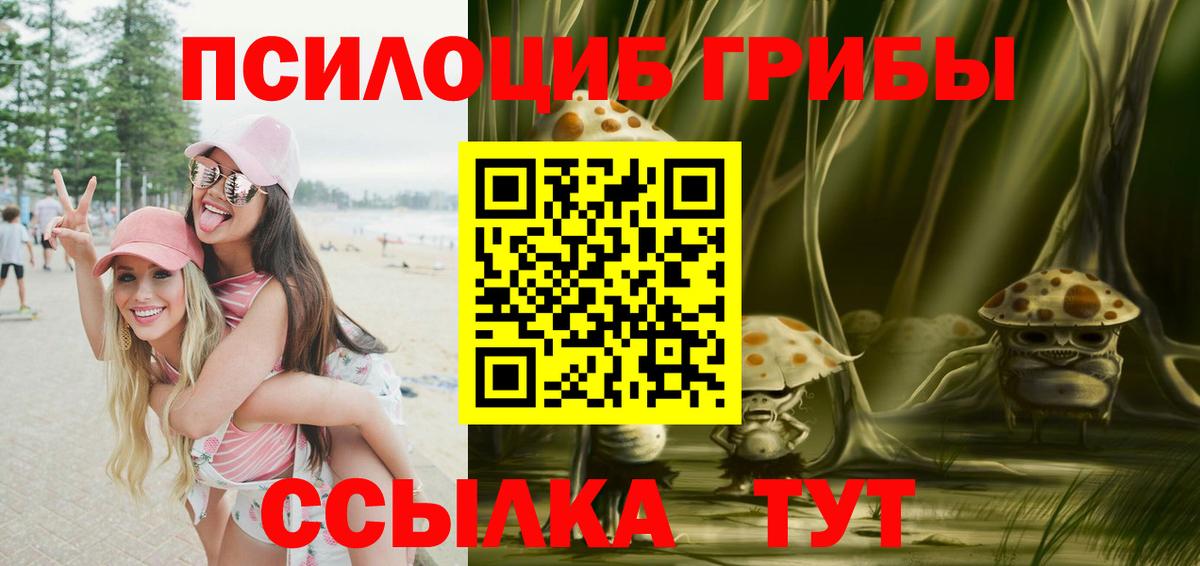 Котовск  Галлюциногенные грибы Psilocybine cubensis  Вход с VPN 